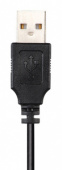 Наушники с микрофоном Hama HS-USB300 черный 2м мониторные оголовье (00139924) от магазина РЭССИ