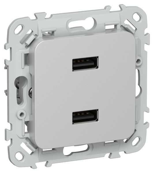 FLITE Розетка USB A+A 3,1А РЮ-2-ФлА алюминий IEK от магазина РЭССИ