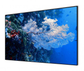 Экран на раме Cactus 151x267см Alr Expert CS-PSALR-267X151 16:9 настенный натяжной от магазина РЭССИ
