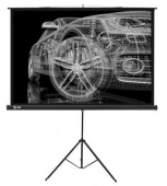 Экран Cactus 124.5x221см Triscreen CS-PST-124x221 16:9 напольный рулонный черный от магазина РЭССИ