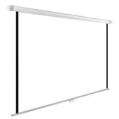 Экран Cactus 220x220см WallExpert CS-PSWE-220x220-WT 1:1 настенно-потолочный рулонный от магазина РЭССИ