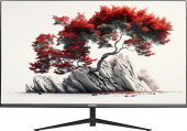 Монитор RDW Computers 27" RDW2701K черный IPS 5ms 16:9 HDMI матовая 1000:1 250cd 178гр/178гр 2560x1440 75Hz DP 9кг (RUS) от магазина РЭССИ
