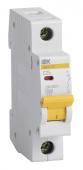 Выключатель автоматический IEK MVA20-1-025-C ВА47-29 25A тип C 4.5kA 1П 230/400В 1мод белый (упак.:1шт) от магазина РЭССИ