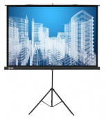 Экран Cactus 104.4x186см Triscreen CS-PST-104x186 16:9 напольный рулонный черный от магазина РЭССИ