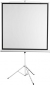 Экран 189x248см Digis Kontur-D DSKD-4304 4:3 напольный рулонный от магазина РЭССИ