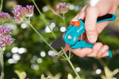 Секатор плоскостной Gardena B/S малый синий/черный (08854-20.000.00) от магазина РЭССИ