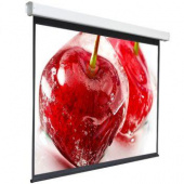 Экран 220x300см Digis Electra-F DSEF-4305 4:3 настенно-потолочный рулонный (моторизованный привод) от магазина РЭССИ
