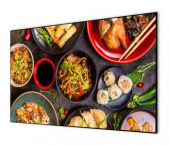 Экран на раме Cactus 114x201см Alr Expert CS-PSALR-201X114 16:9 настенный натяжной от магазина РЭССИ