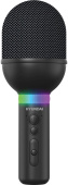Микрофон беспроводной Hyundai H-MIC101 черный от магазина РЭССИ
