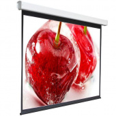 Экран 240x240см Digis Electra-F DSEF-1108 1:1 настенно-потолочный рулонный (моторизованный привод) от магазина РЭССИ