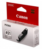 Картридж струйный Canon CLI-451GY 6527B001 серый для Canon Pixma MG6340 от магазина РЭССИ