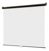 Экран 180x180см Digis Optimal-C DSOC-1102 1:1 настенно-потолочный рулонный от магазина РЭССИ