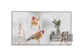 Панель LG 55" 55EW5P-M серебристый OLED LED 1ms 16:9 HDMI матовая 1100:1 400cd 178гр/178гр 1920x1080 DP FHD USB 13.9кг от магазина РЭССИ