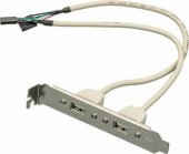 Адаптер USB Bracket 2xUSB2.0 Bulk от магазина РЭССИ