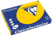 Бумага Trophee 1245305 A3/80г/м2/500л./желтый интенсив от магазина РЭССИ