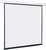 Экран Lumien 244x244см Master Control 1:1 настенно-потолочный рулонный (моторизованный привод) от магазина РЭССИ