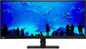 Монитор Lenovo 34" ThinkVision P34w-20 черный IPS LED 6ms 21:9 HDMI M/M HAS Piv 300cd 178гр/178гр 3440x1440 60Hz DP WQ HD 2K (1440p) USB 10.8кг от магазина РЭССИ