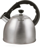 Чайник металлический Rondell Perfect RDS-494 2.2л. стальной от магазина РЭССИ