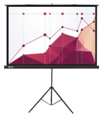 Экран Cactus 180x180см Triscreen CS-PST-180x180 1:1 напольный рулонный черный от магазина РЭССИ