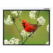 Экран Lumien 171x128см Master Picture LMP-100108 4:3 настенно-потолочный рулонный белый от магазина РЭССИ