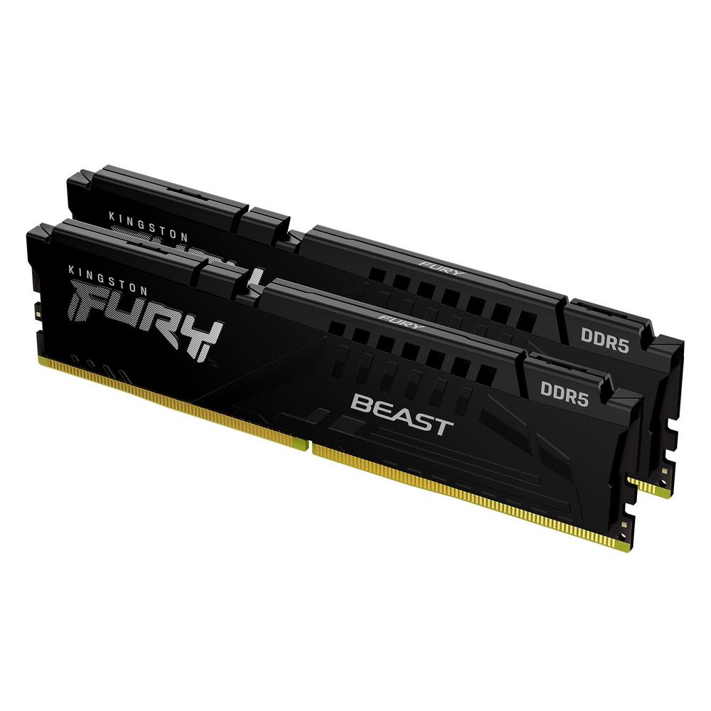Fury beast black expo