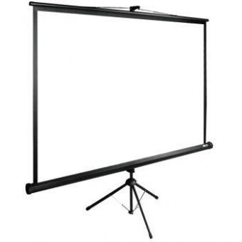 Экран Cactus 220x220см TriExpert CS-PSTE-220x220-BK 1:1 напольный рулонный черный от магазина РЭССИ