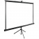 Экран Cactus 220x220см TriExpert CS-PSTE-220x220-BK 1:1 напольный рулонный черный от магазина РЭССИ