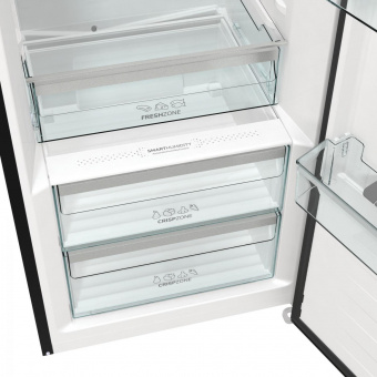 Холодильник Gorenje R619EABK6 черный (однокамерный) от магазина РЭССИ