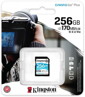 Флеш карта SDXC 256Gb Class10 Kingston SDG3/256GB Canvas Go! Plus w/o adapter от магазина РЭССИ