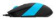 Клавиатура + мышь A4Tech Fstyler F1010 клав:черный/синий мышь:черный/синий USB Multimedia от магазина РЭССИ
