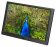 Картинка Фоторамка Digma 10.1" PF-1043 IPS 1280x800 черный пластик ПДУ Видео от магазина РЭССИ Фоторамка Digma 10.1" PF-1043 IPS 1280x800 черный пластик ПДУ Видео от магазина РЭССИ