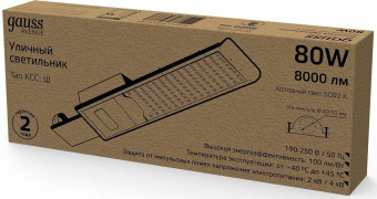 Светильник консольный Gauss 629534380 80Вт ламп.:1шт черный от магазина РЭССИ
