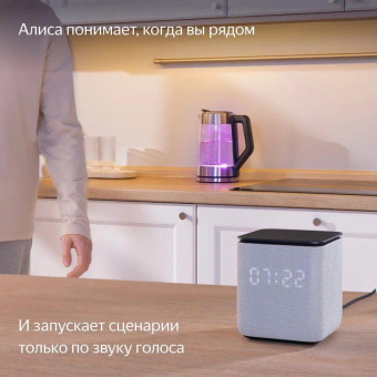 Умная колонка Yandex Станция Миди YNDX-00054EMD Алиса зеленый 24W 1.0 BT/Wi-Fi 10м от магазина РЭССИ