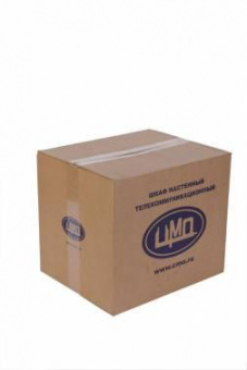 Шкаф коммутационный ЦМО (ШРН-6.300.1) настенный 6U 600x300мм пер.дв.стал.лист несъемн.бок.пан. 100кг серый 250мм 9.5кг 180град. 366мм от магазина РЭССИ