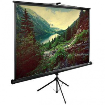 Экран Cactus 220x220см TriExpert CS-PSTE-220x220-BK 1:1 напольный рулонный черный от магазина РЭССИ