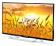 Картинка Телевизор LED PolarLine 32" 32PL13TC-SM черный HD 50Hz DVB-T DVB-T2 DVB-C USB WiFi Smart TV (RUS) от магазина РЭССИ Телевизор LED PolarLine 32" 32PL13TC-SM черный HD 50Hz DVB-T DVB-T2 DVB-C USB WiFi Smart TV (RUS) от магазина РЭССИ