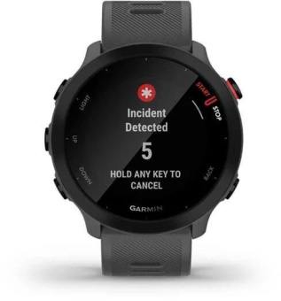 Смарт-часы Garmin Forerunner 55 42мм 1.04" LCD корп.серый рем.серый разм.брасл.:127-220мм (010-02562-13) от магазина РЭССИ