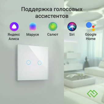 Умный выключатель Digma DiSwitch 2p 2-хкл. универсальный белый (DSW2P) от магазина РЭССИ