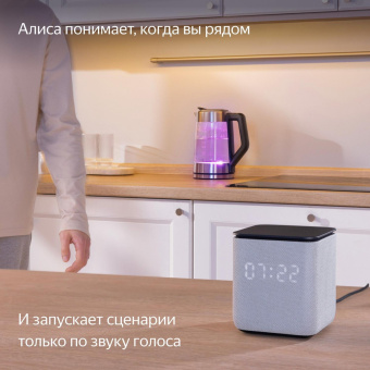 Умная колонка Yandex Станция Миди YNDX-00054PNK Алиса малиновый 24W 1.0 BT/Wi-Fi 10м от магазина РЭССИ