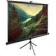 Экран Cactus 220x220см TriExpert CS-PSTE-220x220-BK 1:1 напольный рулонный черный от магазина РЭССИ