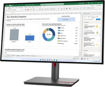 Монитор Lenovo 27" ThinkVision P27h-30 черный IPS LED 6ms 16:9 DVI HDMI матовая HAS Piv 1000:1 350cd 178гр/178гр 2560x1440 60Hz DP 2K USB 7кг от магазина РЭССИ