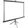 Экран Cactus 220x220см TriExpert CS-PSTE-220x220-BK 1:1 напольный рулонный черный от магазина РЭССИ