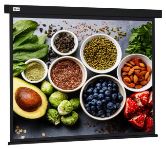 Экран Cactus 187x332см Wallscreen CS-PSW-187X332-BK 16:9 настенно-потолочный рулонный черный от магазина РЭССИ