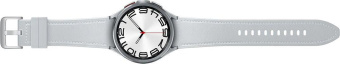 Смарт-часы Samsung Galaxy Watch6 Classic 47мм 1.5" AMOLED корп.серебристый рем.серебристый (SM-R960NZSACIS) от магазина РЭССИ