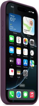 Чехол (клип-кейс) Apple для Apple iPhone 16 Pro Silicone Case with MagSafe сливовый Plum (MYYM3ZM/A) от магазина РЭССИ