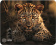 Картинка Коврик для мыши Cactus Leopard 250x200x3мм (CS-MP-D06S) от магазина РЭССИ Коврик для мыши Cactus Leopard 250x200x3мм (CS-MP-D06S) от магазина РЭССИ