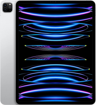 Планшет Apple iPad Pro 2022 A2436 M2 8C RAM8Gb ROM256Gb 12.9" IPS 2732x2048 iOS серебристый 12Mpix 12Mpix BT WiFi Touch 10hr от магазина РЭССИ