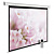 Экран Cactus 240x240см MotoExpert CS-PSME-240x240-WT 1:1 настенно-потолочный рулонный белый (моторизованный привод) от магазина РЭССИ