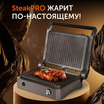 Электрогриль Red Solution SteakPRO RGM-M814 1950Вт черный/серый от магазина РЭССИ