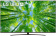 Телевизор LED LG 75" 75UQ81009LC.ADKG темная медь 4K Ultra HD 60Hz DVB-T DVB-T2 DVB-C DVB-S DVB-S2 USB WiFi Smart TV (RUS) от магазина РЭССИ